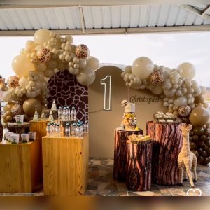 Decoración con globo y mobiliario 113 safari